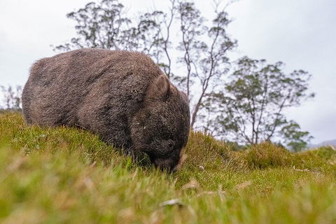 3-Day Cradle Mountain Photography Workshop - Northern Rivers Accommodation 0