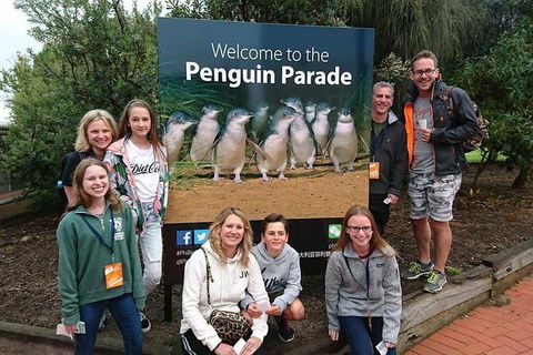 Phillip Island Medium Size Group Tour - Northern Rivers Accommodation 5