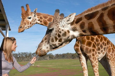 Melbourne City Card (2 Days): Visit Unlimited Attractions! - Northern Rivers Accommodation 1