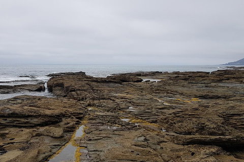 Luxury Private Great Ocean Road Tour Up To 11 People - Entire Vehicle - Northern Rivers Accommodation 1