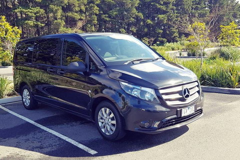 Luxury Private Great Ocean Road Tour Up To 11 People - Entire Vehicle - Northern Rivers Accommodation 3