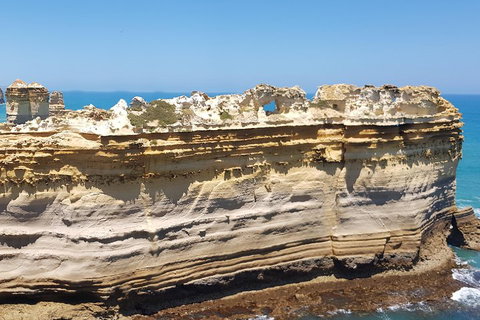 Luxury Private Great Ocean Road Tour Up To 11 People - Entire Vehicle - Northern Rivers Accommodation 4