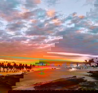 1 Hour Broome Sunset Camel Tour - Northern Rivers Accommodation