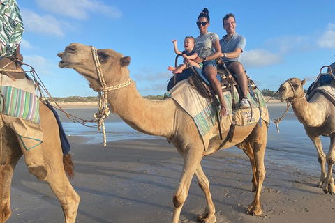 Broome Pre-sunset Camel Tour 30 Minutes - Northern Rivers Accommodation 3
