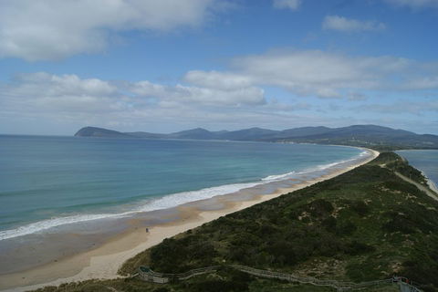 Bruny Island Day Trip From Hobart - Northern Rivers Accommodation 0