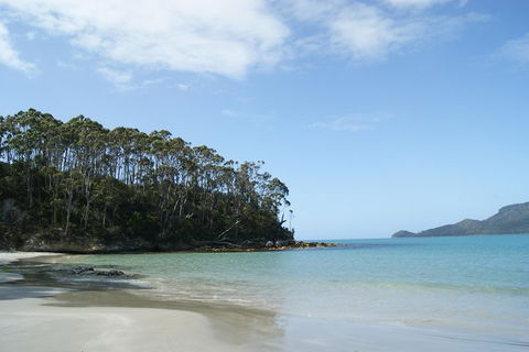 Bruny Island Day Trip From Hobart - Northern Rivers Accommodation 1