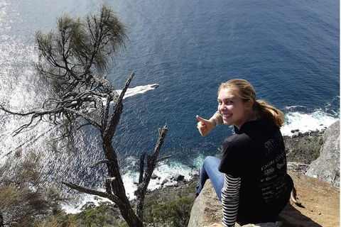 Bruny Island Day Trip From Hobart - Northern Rivers Accommodation 2