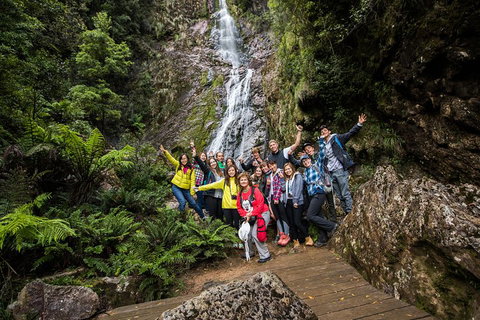 5-Day Lap Of Tasmania Tour From Hobart (flexible Ticket) - Northern Rivers Accommodation 0