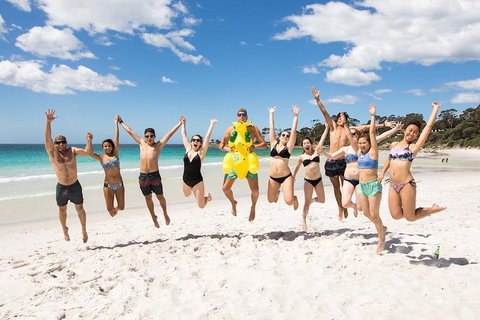 5-Day Lap Of Tasmania Tour From Hobart (flexible Ticket) - Northern Rivers Accommodation 4