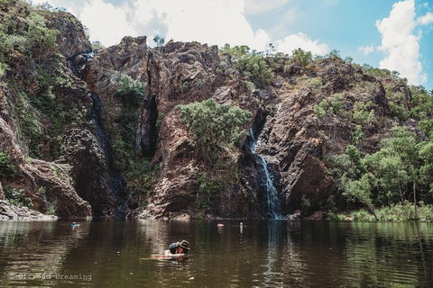 Litchfield National Park Day Tour From Darwin With Waterfalls And Buley Rockhole - Northern Rivers Accommodation 1