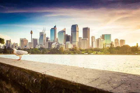 Private Sydney City And Bondi Beach Half Day Tour - Northern Rivers Accommodation 2