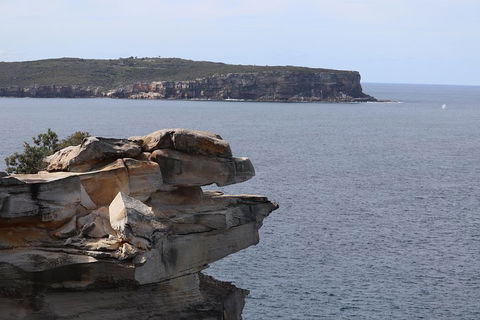 Private Sydney City And Bondi Beach Half Day Tour - Northern Rivers Accommodation 3