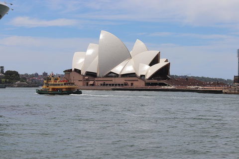 Private Sydney City And Bondi Beach Half Day Tour - Northern Rivers Accommodation 5