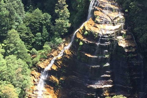 Private Blue Mountains Tour With Kangaroo And Koala Experience - Northern Rivers Accommodation 5