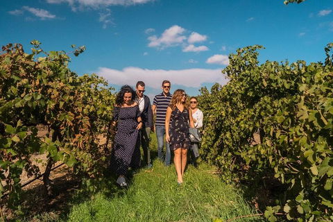 Barossa Valley Private Tour (from 2 To 11 People) - Northern Rivers Accommodation 0