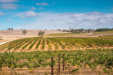 Barossa Valley Private Tour (from 2 To 11 People) - Northern Rivers Accommodation 2
