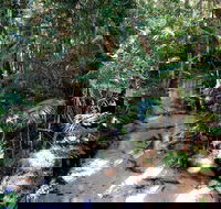 Fraser Island 4WD Tour from Rainbow Beach - Northern Rivers Accommodation