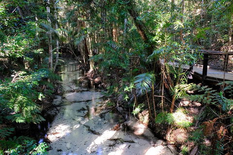 Fraser Island 4WD Tour From Rainbow Beach - Northern Rivers Accommodation 0