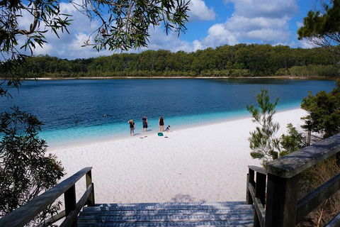 Fraser Island 4WD Tour From Rainbow Beach - Northern Rivers Accommodation 3