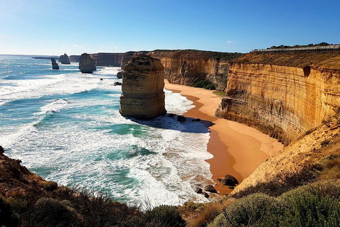 Helicopter Flight + Fine Dining Private Luxury Great Ocean Road Tour - Northern Rivers Accommodation 4