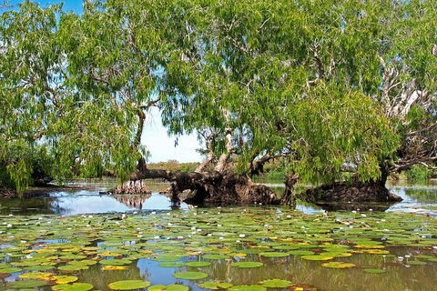 Ethical Adventures - Best In The WET - Litchfield / Kakadu 3 Day- Max 10 Guests - Northern Rivers Accommodation 1