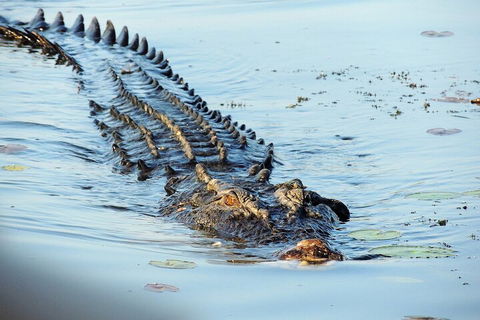 Ethical Adventures - Best In The WET - Litchfield / Kakadu 3 Day- Max 10 Guests - Northern Rivers Accommodation 4