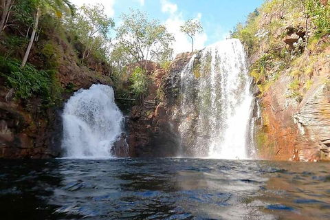 Ethical Adventures - Best In The WET - Litchfield / Kakadu 3 Day- Max 10 Guests - Northern Rivers Accommodation 5