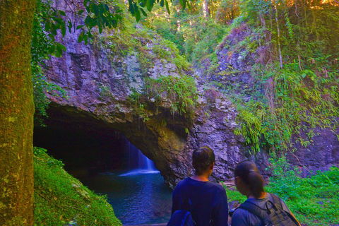 Natural Arch, Rainforest & Volcano Canyon - Private Half Day Tour - Northern Rivers Accommodation 4