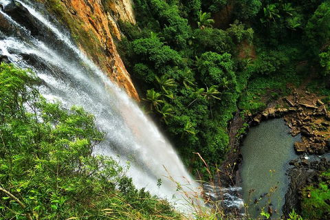 Natural Arch, Rainforest & Volcano Canyon - Private Half Day Tour - Northern Rivers Accommodation 5