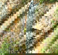Private Tour - Rainforest  Waterfalls Extravaganza - Northern Rivers Accommodation