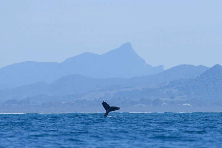  Northern Rivers Accommodation