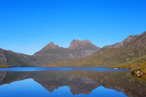 Tasmania 6 Day 'Tour In Circle' - Northern Rivers Accommodation 3