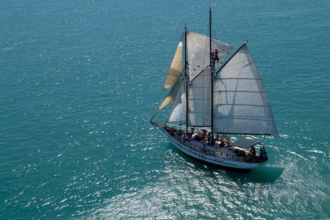 Whitehaven Beach Sailing And Snorkeling Cruise - Northern Rivers Accommodation 1