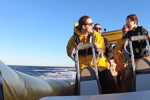 Noosa Oceanrider - Adventure Tour - Northern Rivers Accommodation 0