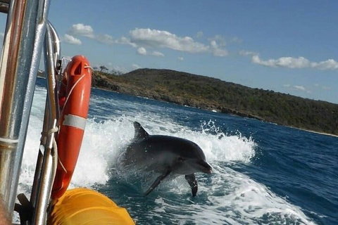 Noosa Oceanrider - Adventure Tour - Northern Rivers Accommodation 1