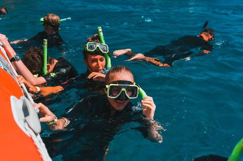 Whitehaven Beach And Hill Inlet Lookout Full-Day Snorkeling Cruise By High-Speed Catamaran - Northern Rivers Accommodation 3