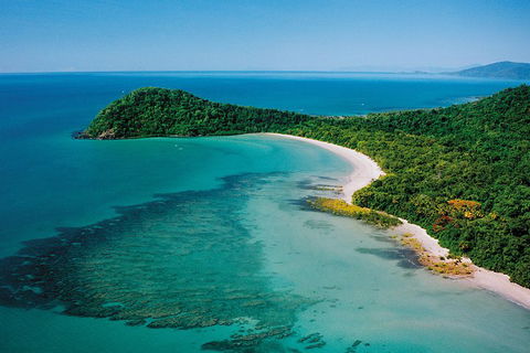 Daintree Rainforest, Cape Tribulation, Mossman Gorge Small-Group Day Tour - Northern Rivers Accommodation 4