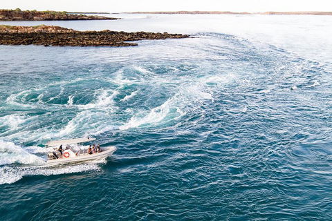 Giant Tides Tour - Cygnet Bay Pearl Farm - Northern Rivers Accommodation 4