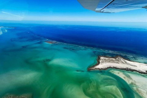Wet Season Incredible Islands Tour - Horizontal Falls & Cygnet Bay Pearl Farm - Northern Rivers Accommodation 4
