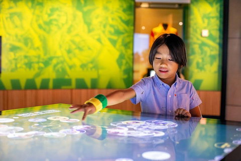 Melbourne Sports Experience + Free Australian Sports Museum Entry - Northern Rivers Accommodation 4