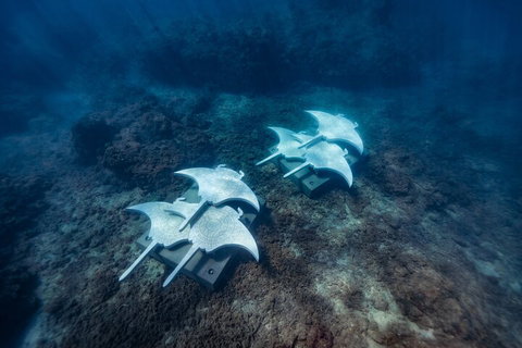 Premium Private Charter - Northern Rivers Accommodation 3