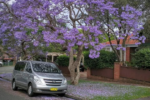 Sydney Secrets & Bondi Beach Private 4 Hr Morning With Personalised Sydney Tours - Northern Rivers Accommodation 0