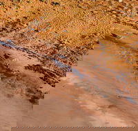 Scenic Flight Lizard Safari - Northern Rivers Accommodation
