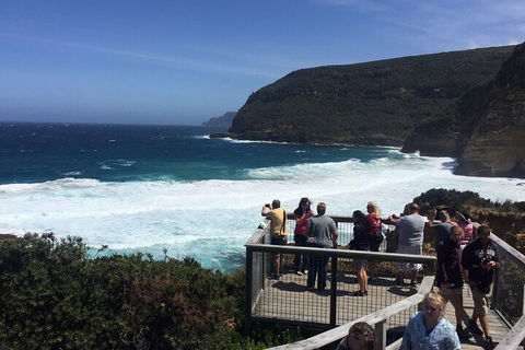 The Port Arthur MEGA Day Trip From Hobart - Northern Rivers Accommodation 2