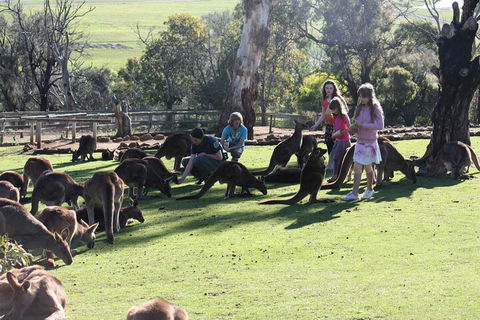 The Port Arthur MEGA Day Trip From Hobart - Northern Rivers Accommodation 5
