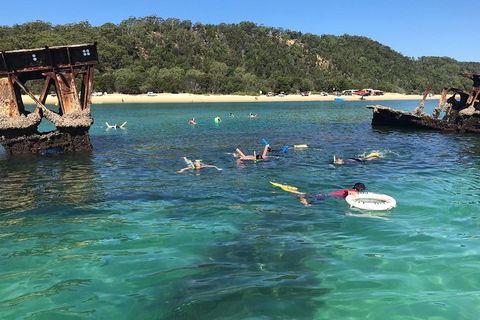 All Inclusive Dolphin And Tangalooma Wrecks Cruise - Northern Rivers Accommodation 0
