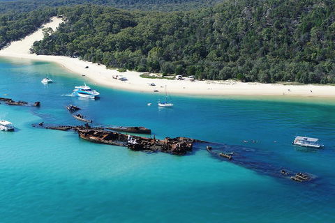 All Inclusive Tangalooma Wrecks Cruise Tour From Gold Coast - Northern Rivers Accommodation 0