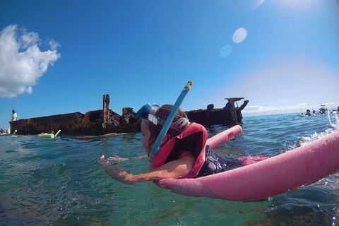 All Inclusive Tangalooma Wrecks Cruise Tour From Gold Coast - Northern Rivers Accommodation 3
