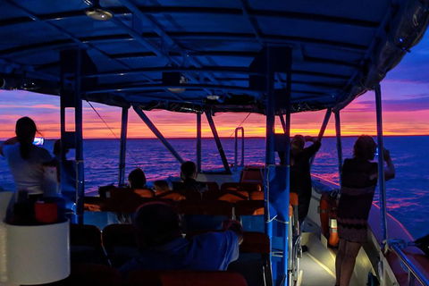 Darwin Sunset Cruise Including Fish 'n' Chips - Northern Rivers Accommodation 1