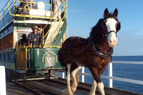 Full-Day Tour In South Australia Highlights - Northern Rivers Accommodation 1